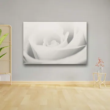 «Whiterose» di Eugenia Carossa, stampa su tela in un ambiente minimal