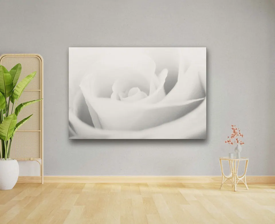 «Whiterose» di Eugenia Carossa, stampa su tela in un ambiente minimal