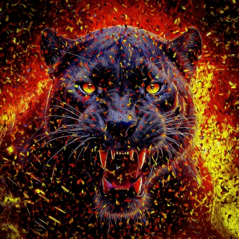 Felines - Black Panther