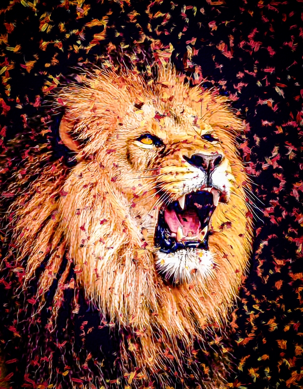 Felines - Lion