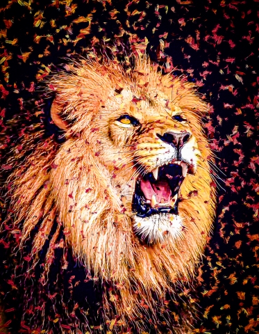Felines - Lion
