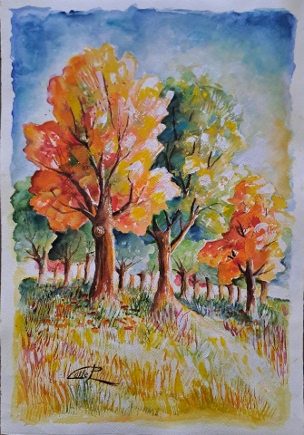 AUTUNNO   del M° P.COLLE
