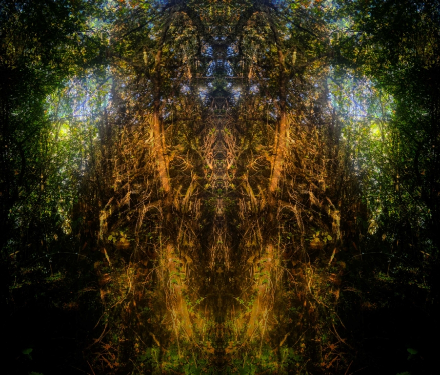 L'Aube de la Lumière