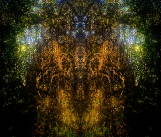 L'Aube de la Lumière
