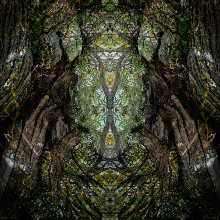 Quintessence
