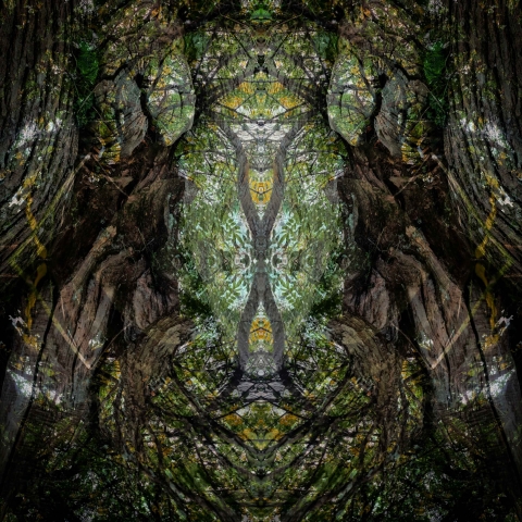 Quintessence