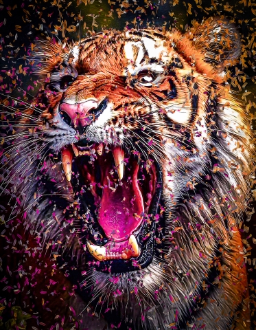 Felines - Tiger