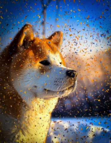 Dog - Akita