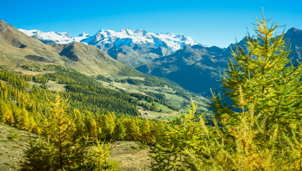 Monte Rosa in autunno