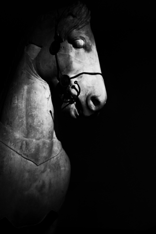 Cavallo colossale