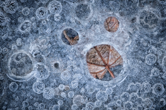 “Sotto il respiro del ghiaccio”  “Beneath the Breath of Ice”