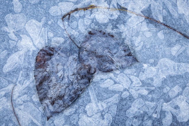 “Dialogo nel ghiaccio”  “Dialogue in Ice”