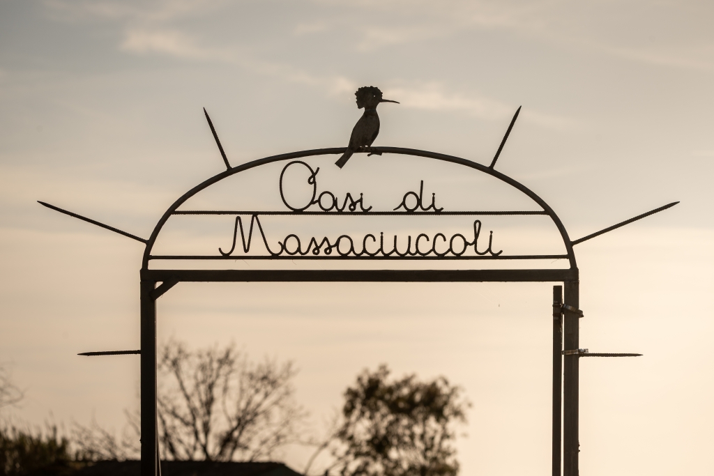 Ingresso all’Oasi di Massaciuccoli