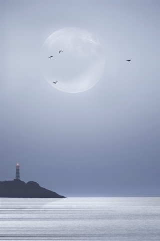 Faro
