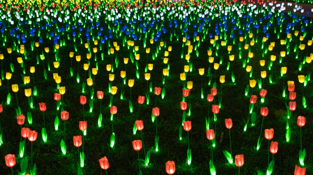 Infiniti colori