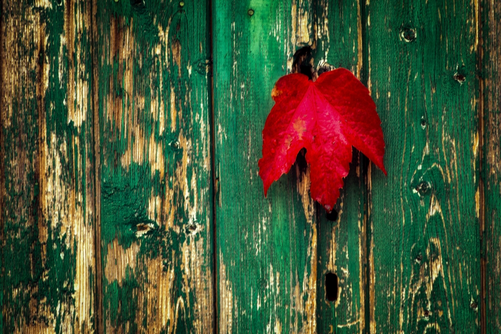 Autunno è alla porta