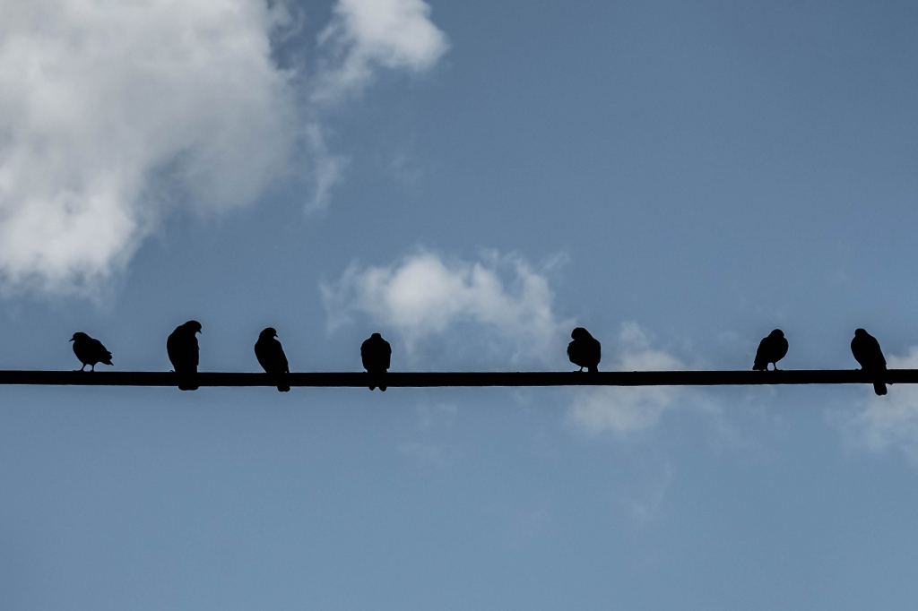 Suspended Symphony