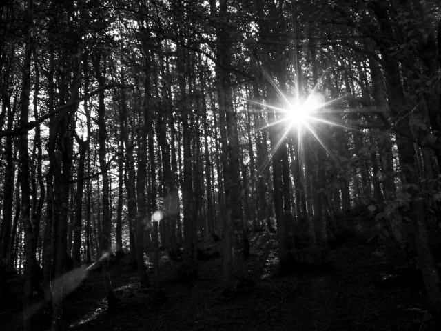 Luce filtrante