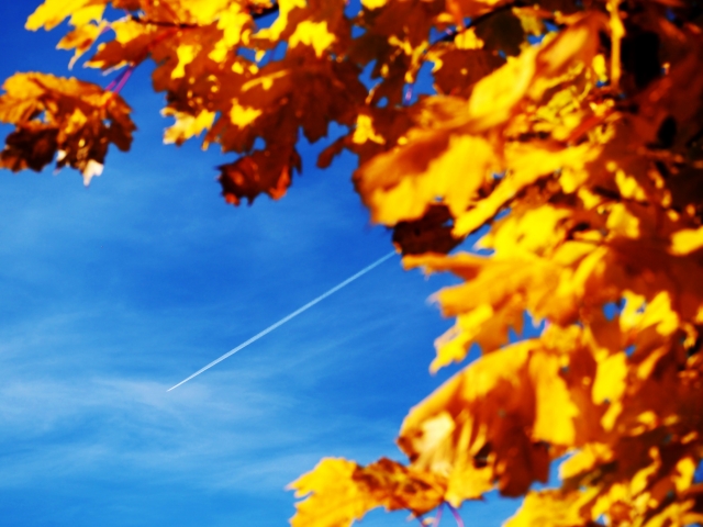 Blu e giallo