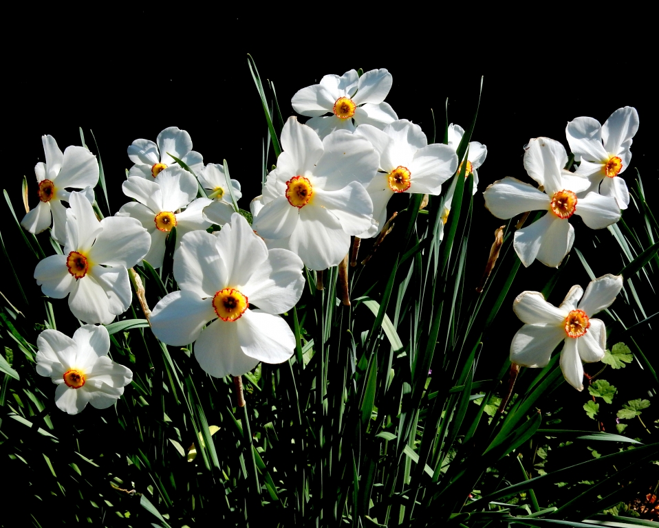aria di primavera