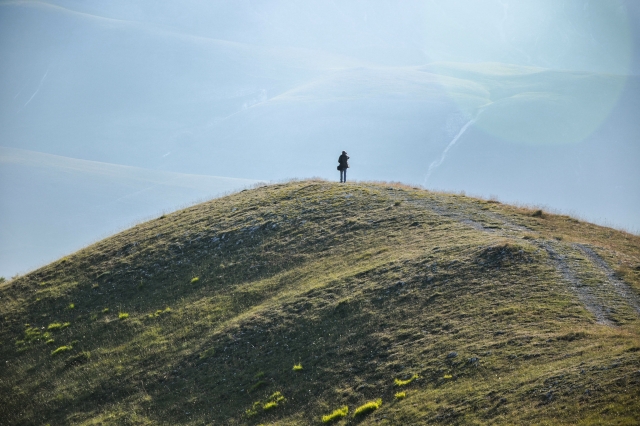 The Inner Horizon