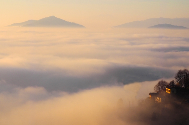 Nebbia agli irti colli