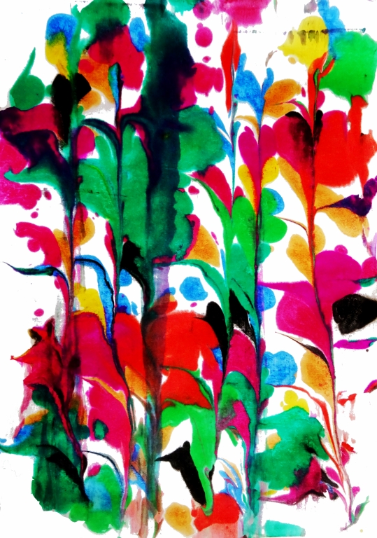 Fiori colorati