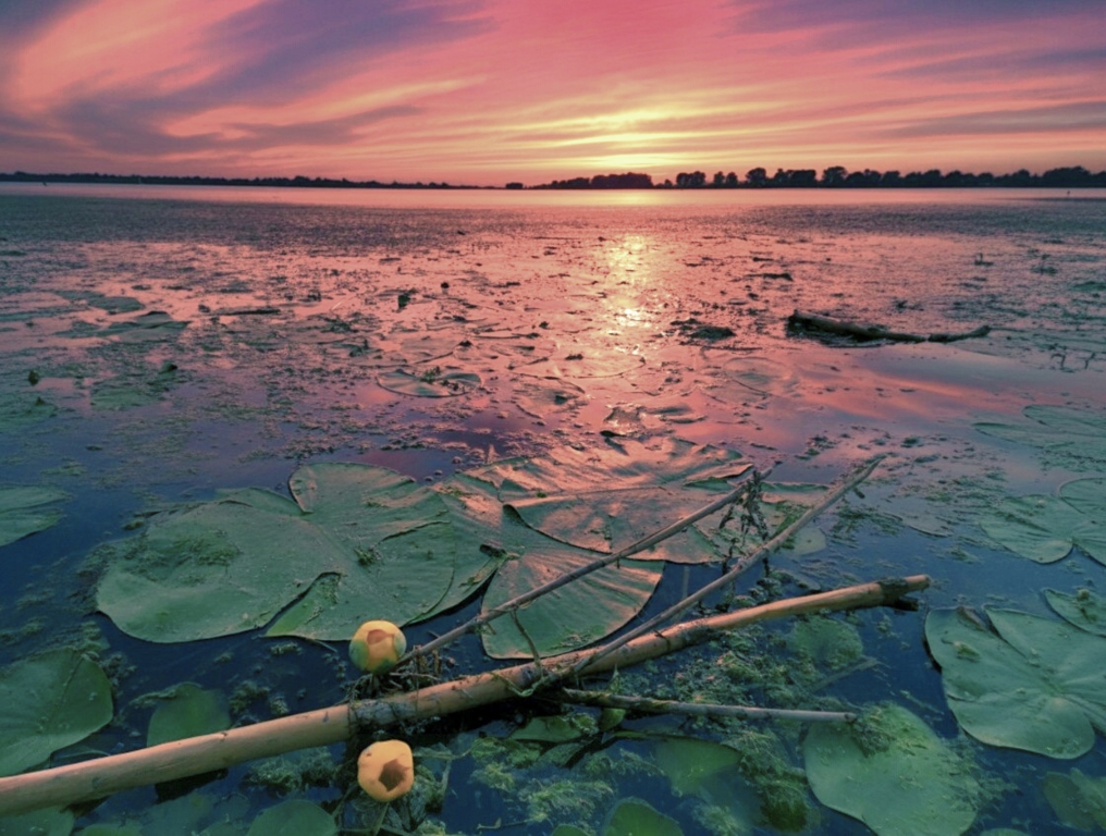 tramonto sul lago