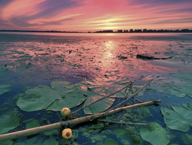 tramonto sul lago