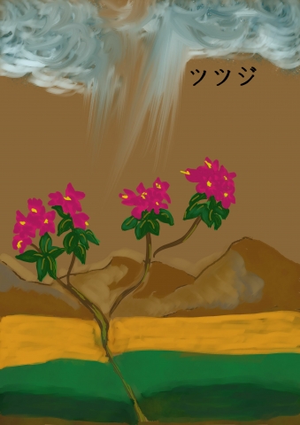 rebirth