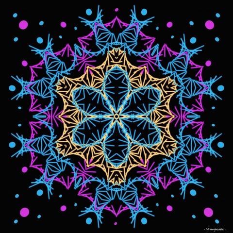 • Cosmic Bloom •