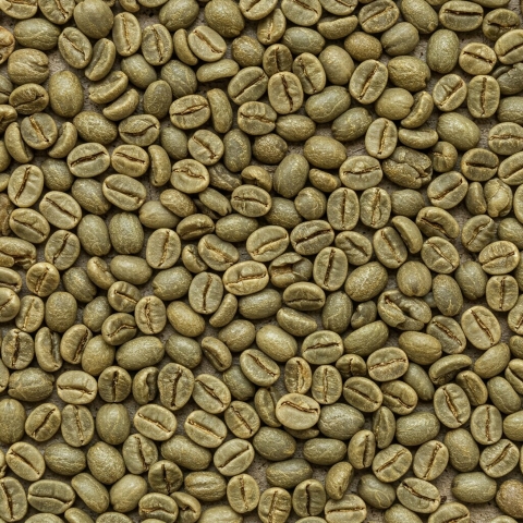 Coffee bean texture