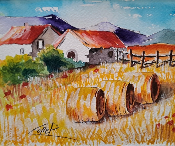 ESTATE made in italy M° Colle