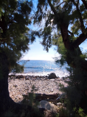 Isola D'Elba Mare Scorcio Alberi Spiaggia
