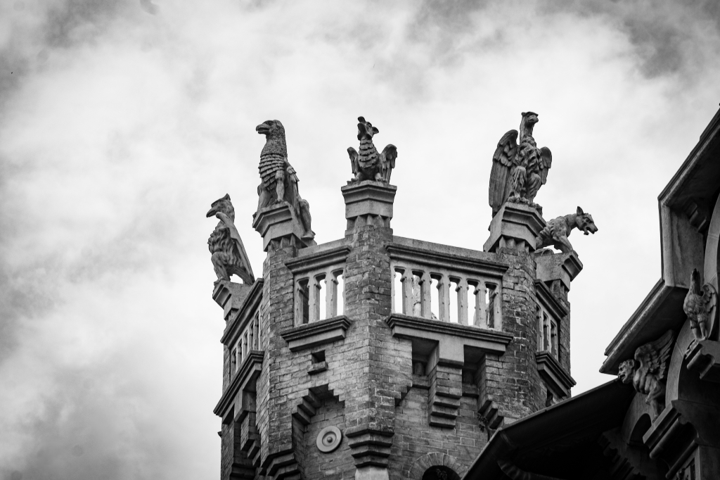 Strane creature a Torino
