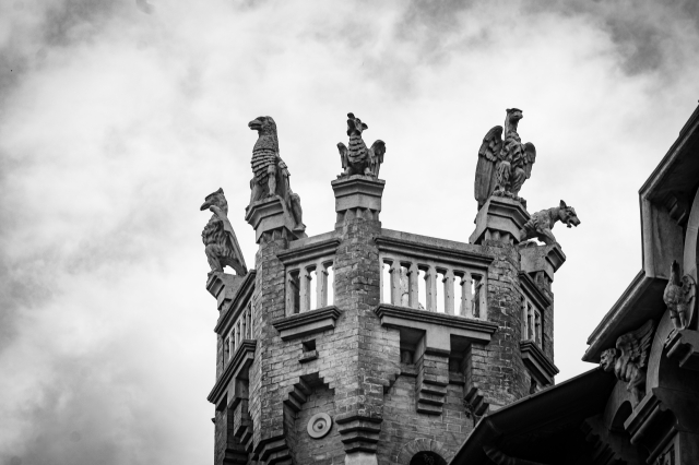 Strane creature a Torino