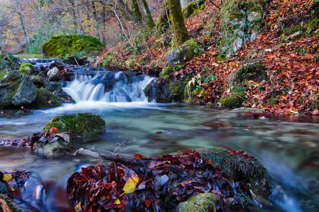 Fiume Aniene nella foresta in autunno-Monti Simbruini-Lazio