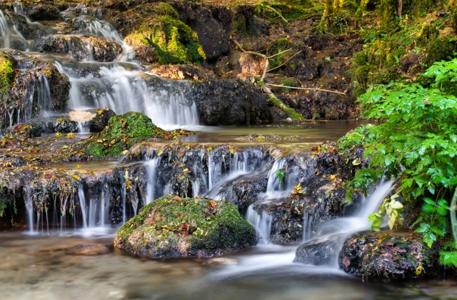 Cascate in una foresta verde-Monti Simbruini-Lazio
