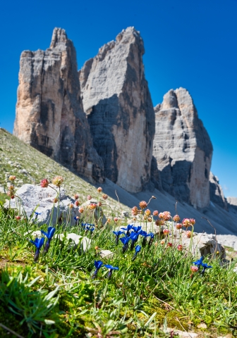 Tre cime