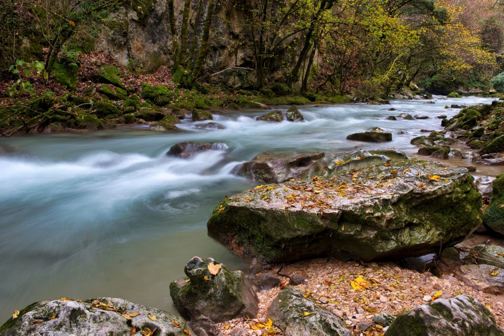 Fiume Aniene che scorre attraverso una foresta autunnale