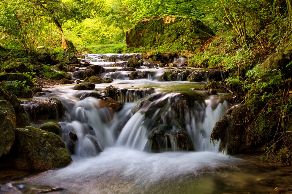 Cascata in una foresta con rocce coperte di muschio