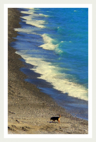libero in libera spiaggia