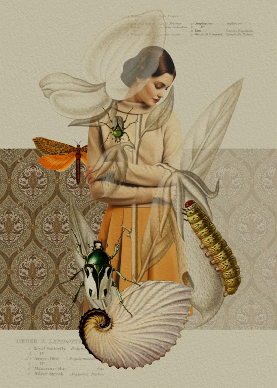 La Ragazza e il fiore
