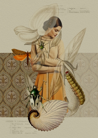 La Ragazza e il fiore