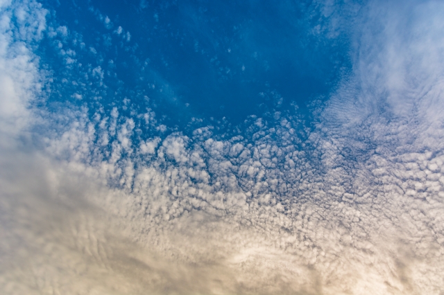 Cielo