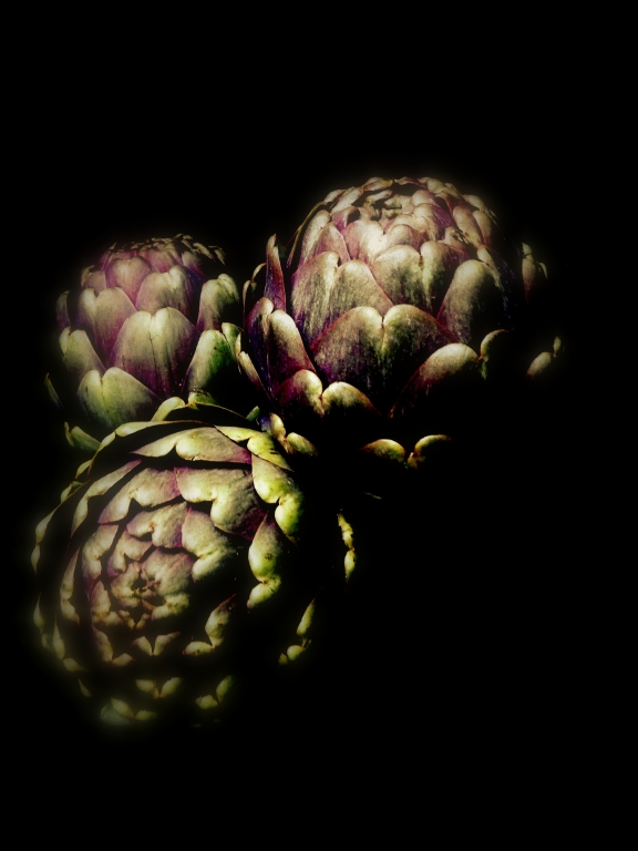 still life carciofi romani