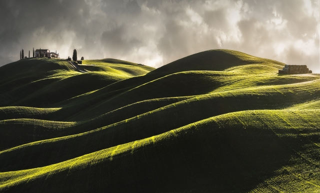 Dune mosse