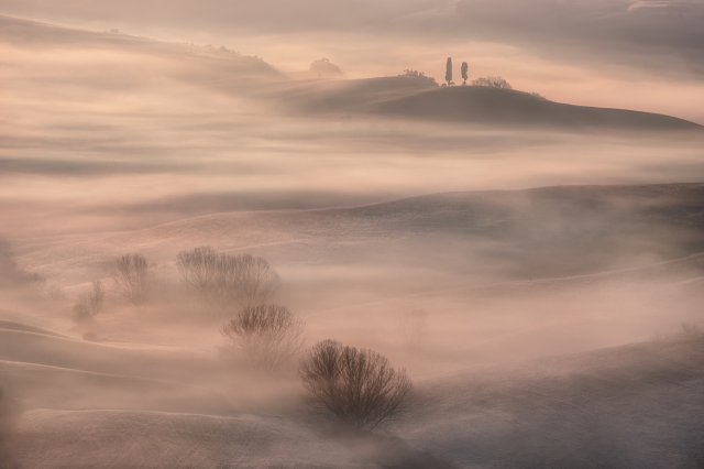 Misty morning