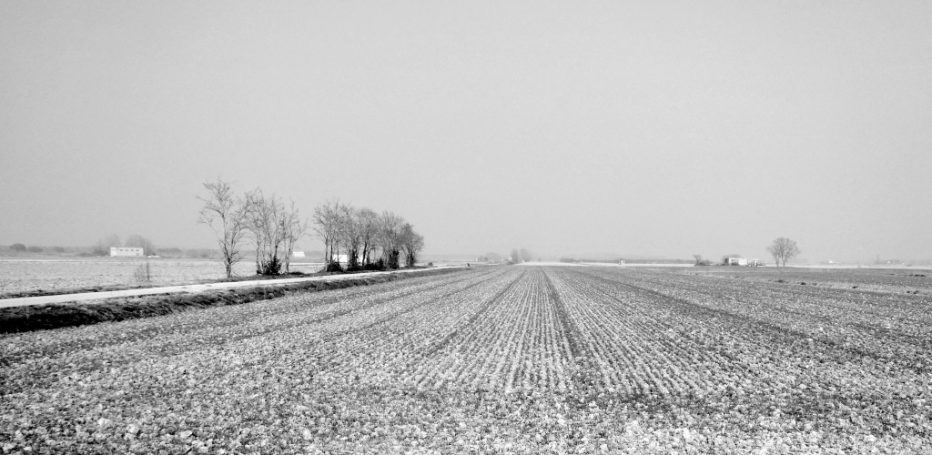 campagna veneta