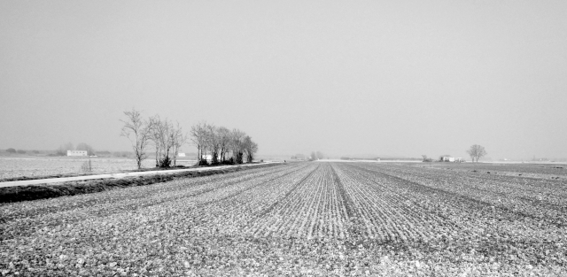 campagna veneta
